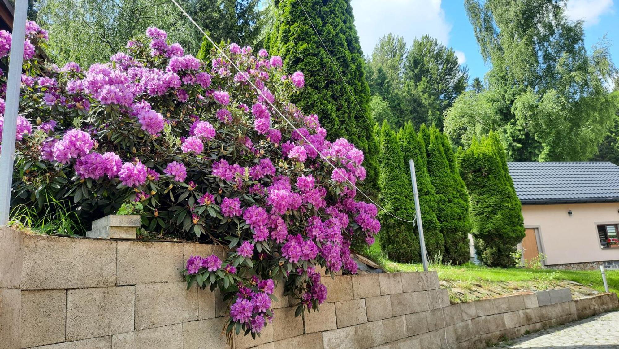 Pokoje U Juroszka Istebna Luaran gambar